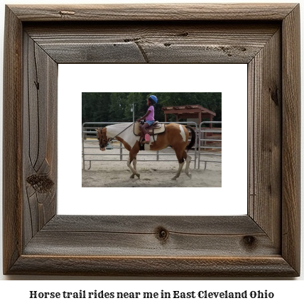 horse trail rides near me in East Cleveland, Ohio